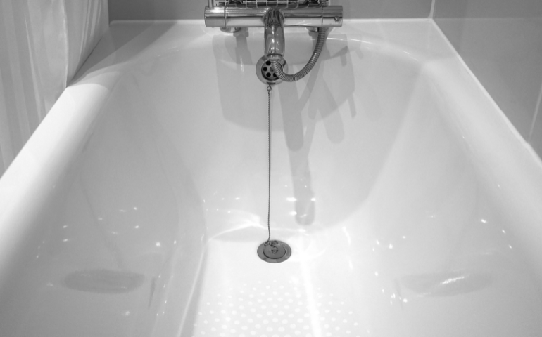 10 Common Bathroom Bugs & How to Get Rid of Them