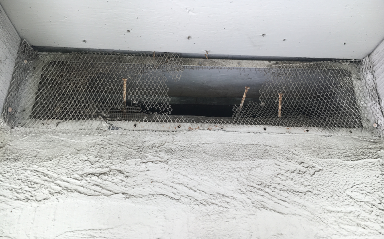 entry point for rodents, rodent exclusion